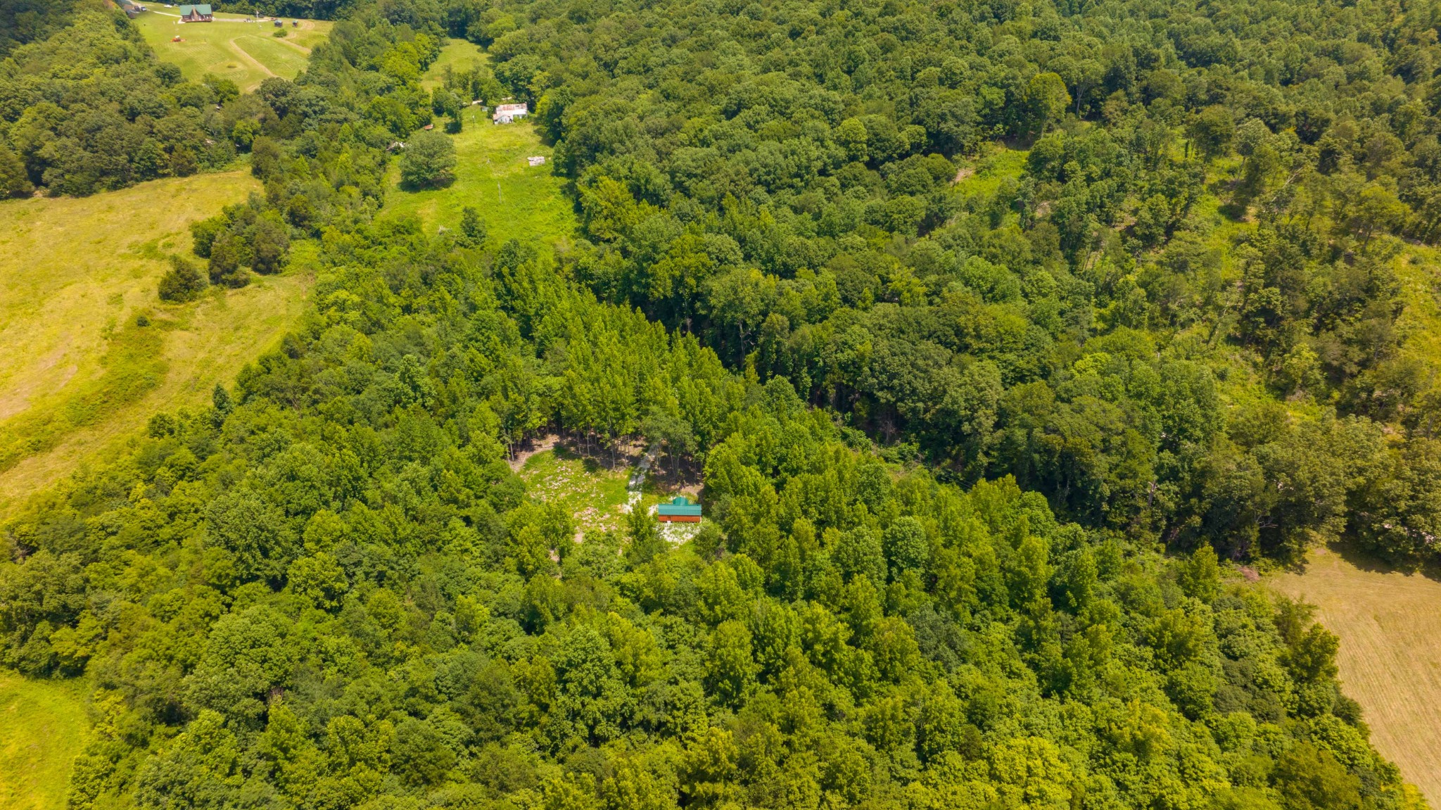 433 Sid Summers Road Stewart, TN 37175 - Photo 43 of 66