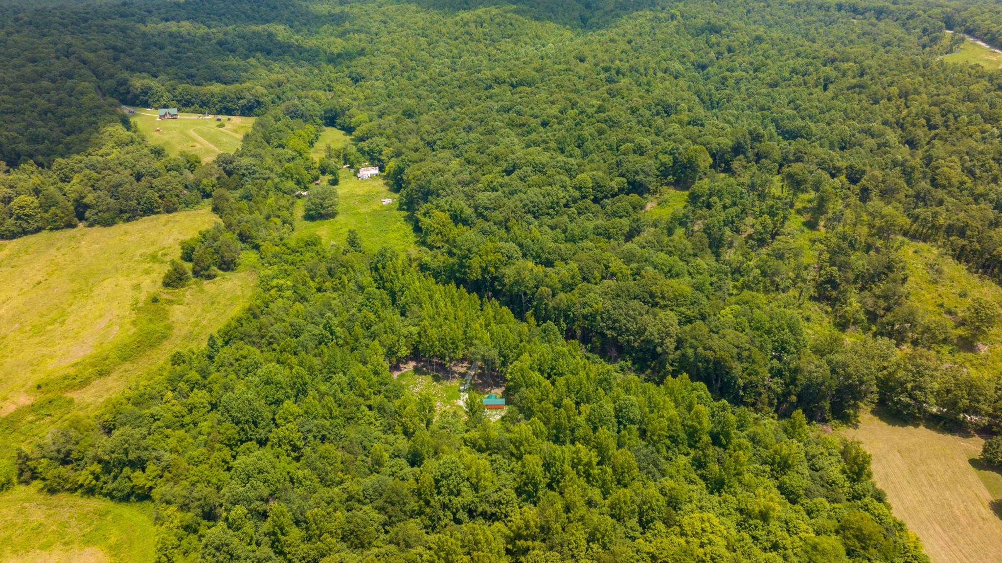 433 Sid Summers Road Stewart, TN 37175 - Photo 44 of 66 a view of a big yard with plants and large trees