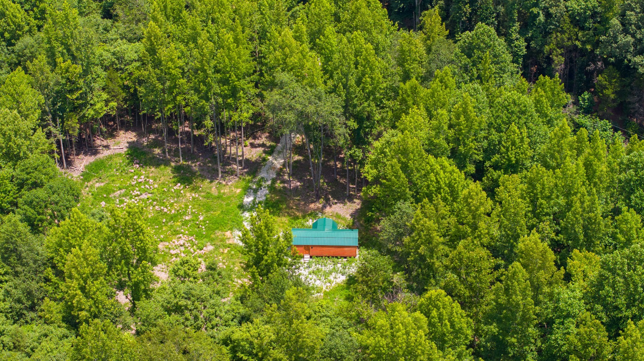 433 Sid Summers Road Stewart, TN 37175 - Photo 45 of 66