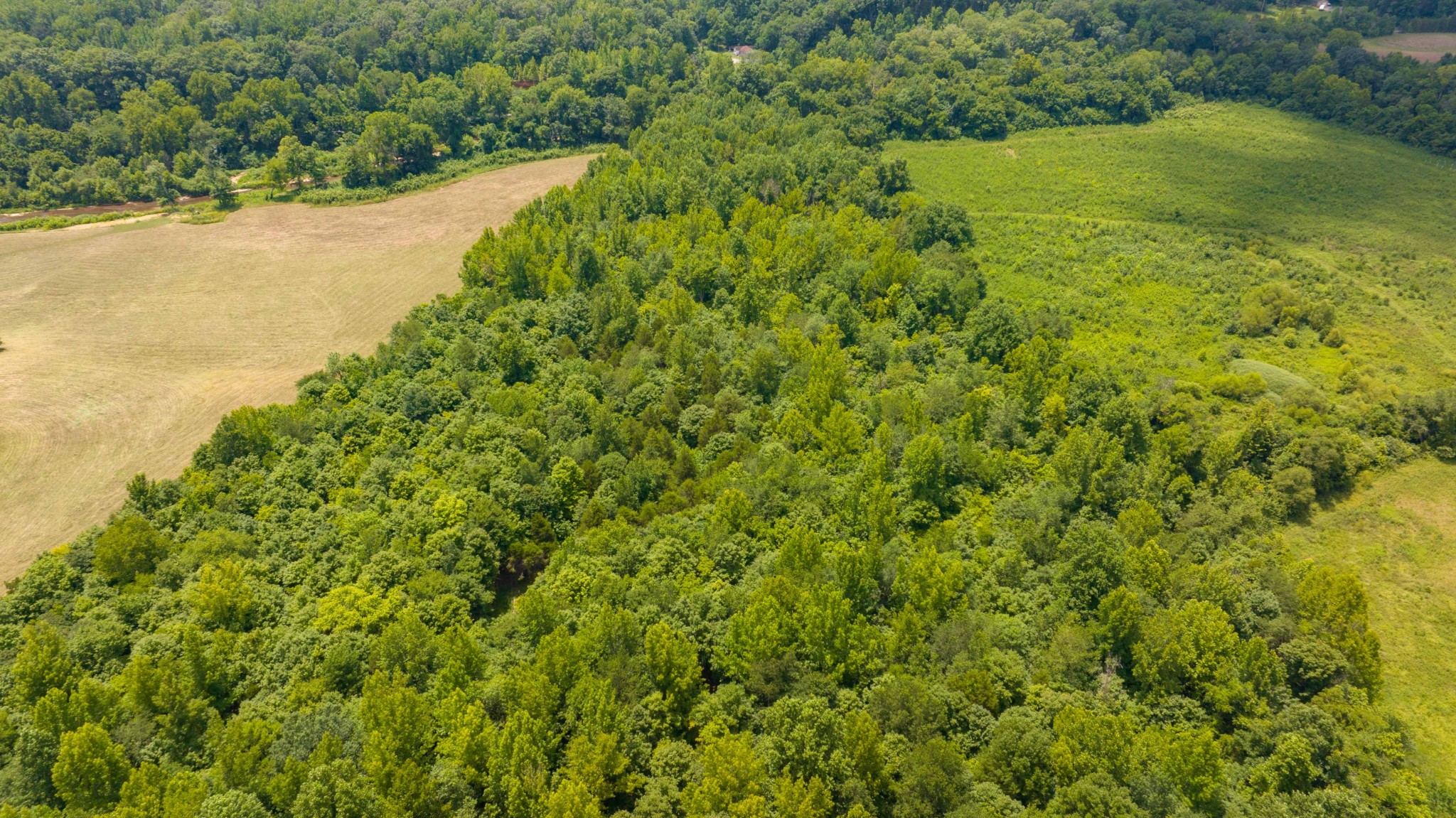 433 Sid Summers Road Stewart, TN 37175 - Photo 48 of 66 a view of a lake with a yard