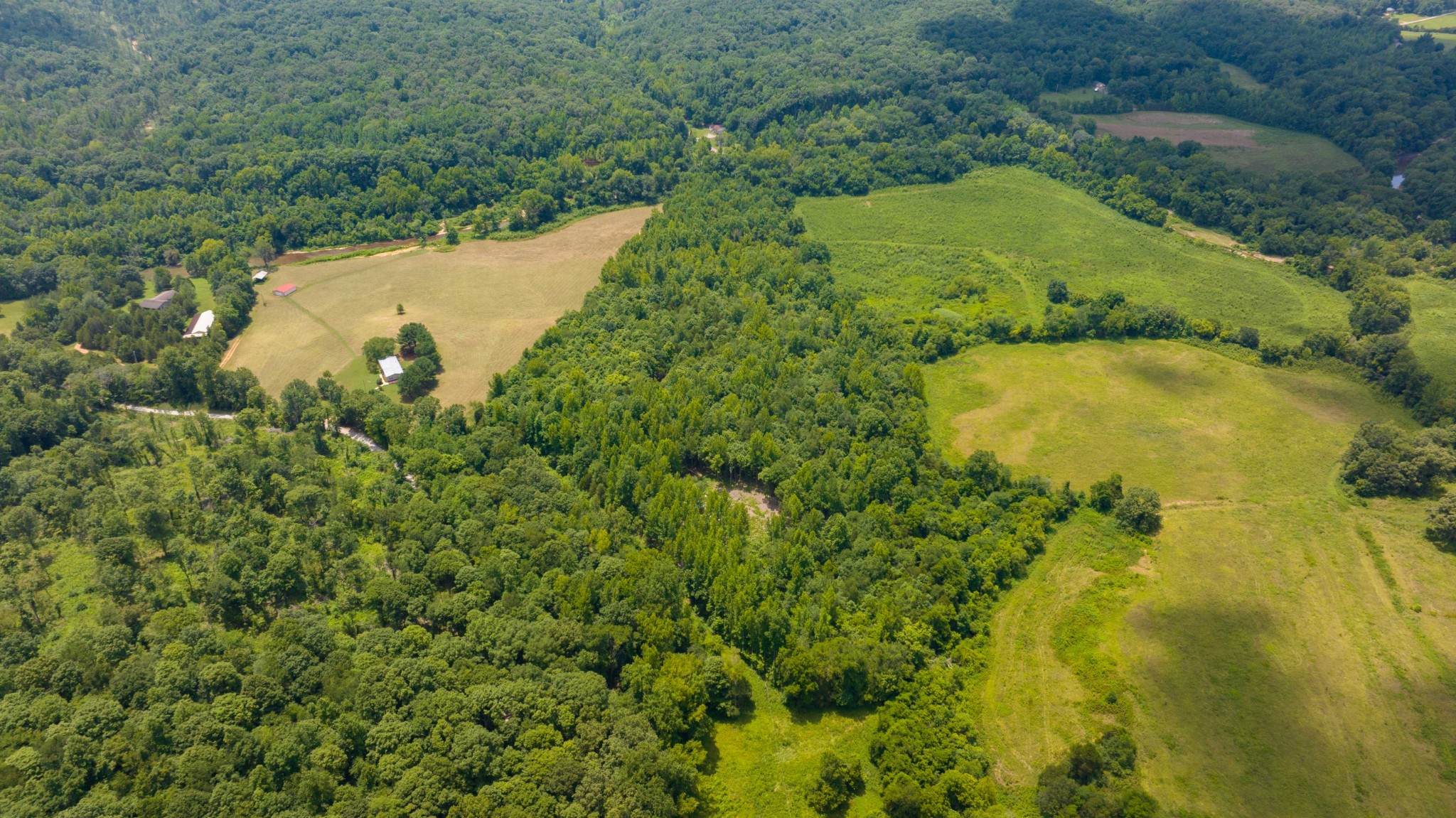 433 Sid Summers Road Stewart, TN 37175 - Photo 50 of 66 a view of a yard