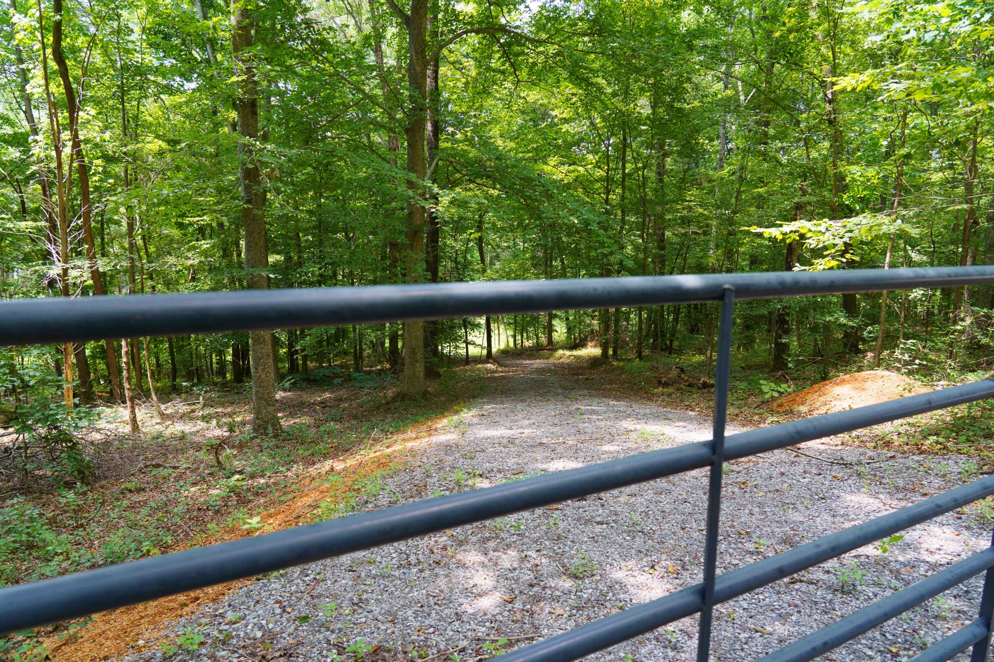433 Sid Summers Road Stewart, TN 37175 - Photo 5 of 66 a view of balcony with deck