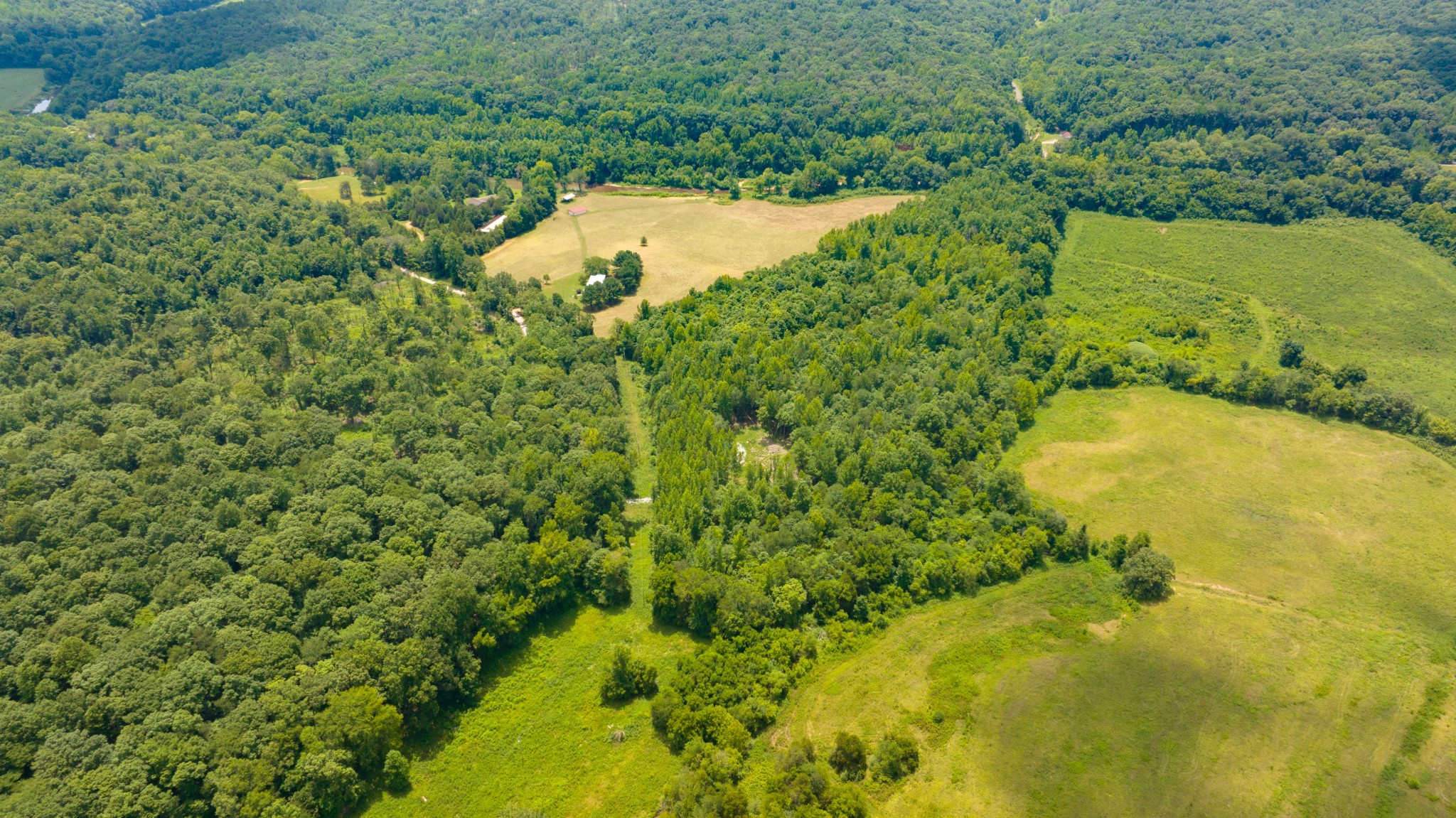 433 Sid Summers Road Stewart, TN 37175 - Photo 53 of 66 a view of a lake