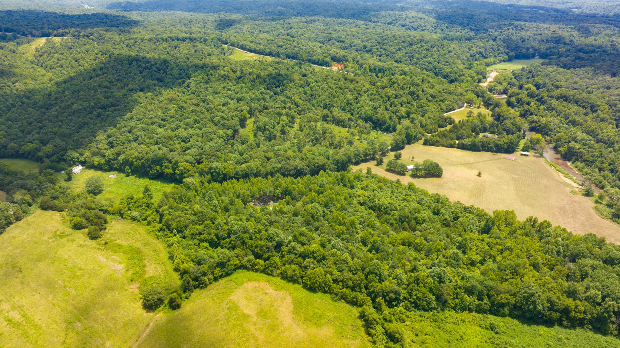 433 Sid Summers Road Stewart, TN 37175 - Photo 55 of 66 a view of a yard with plants and large trees