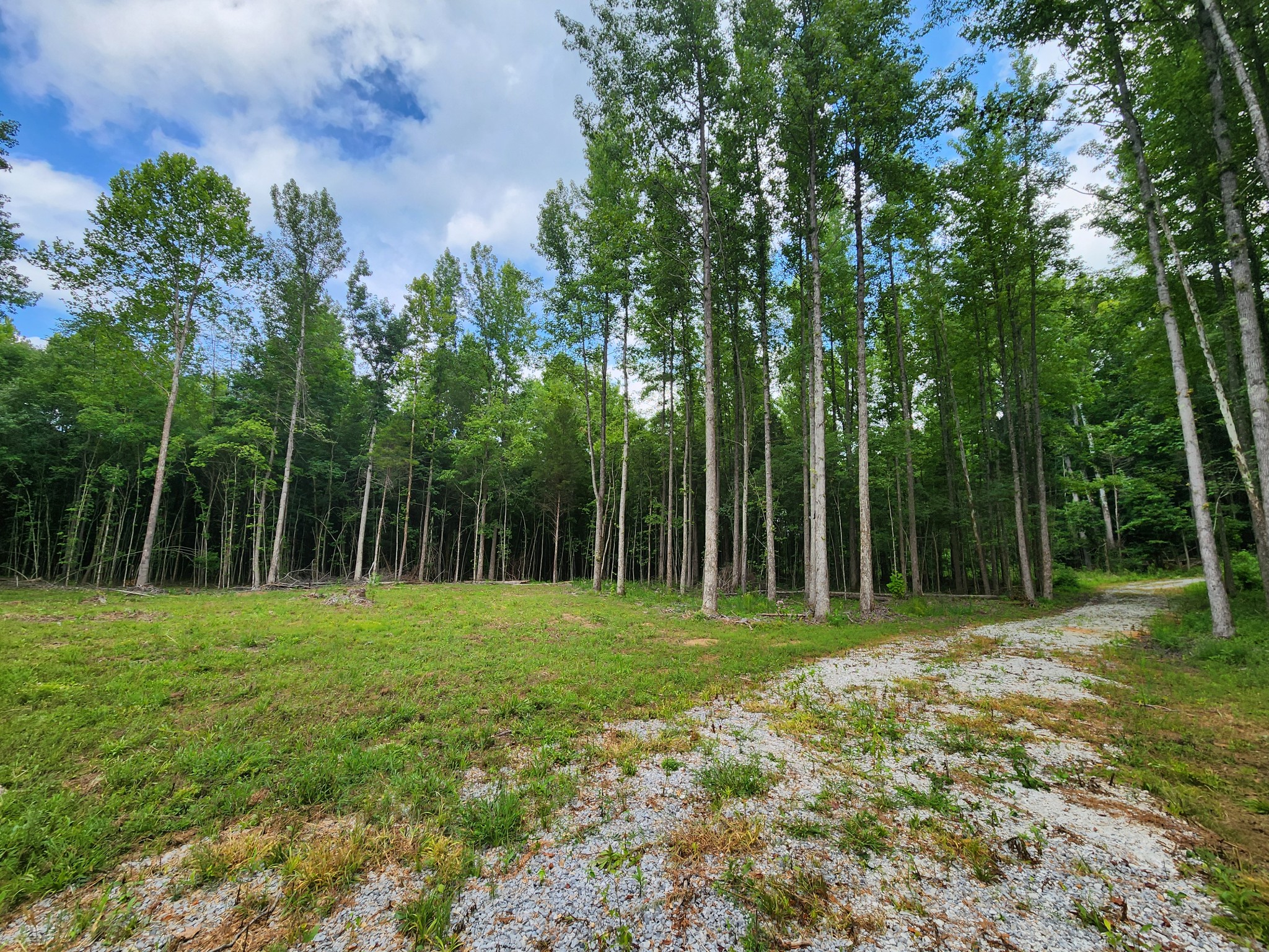 433 Sid Summers Road Stewart, TN 37175 - Photo 59 of 66