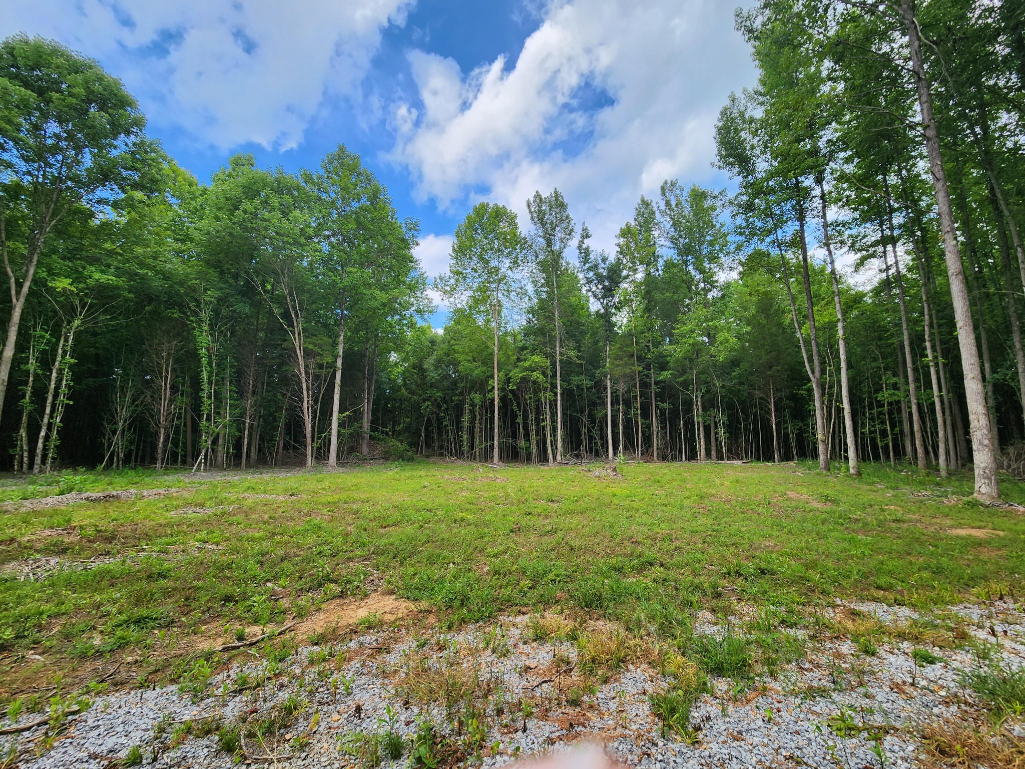 433 Sid Summers Road Stewart, TN 37175 - Photo 60 of 66 a view of a grassy field with trees in the background