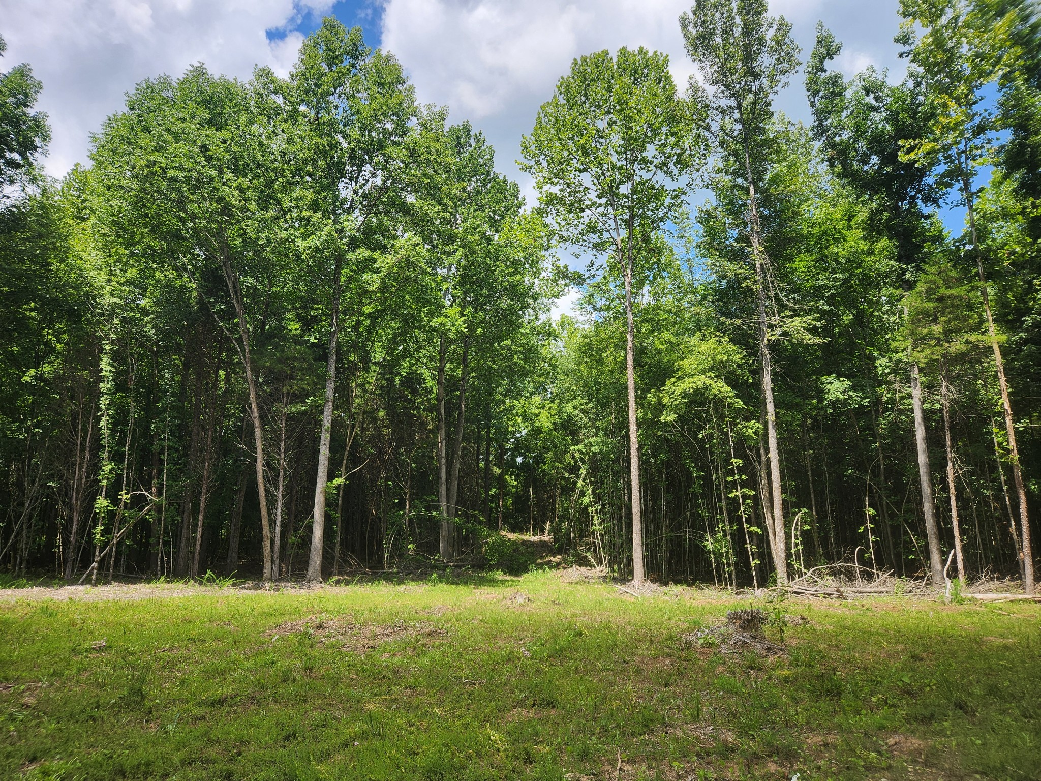 433 Sid Summers Road Stewart, TN 37175 - Photo 63 of 66