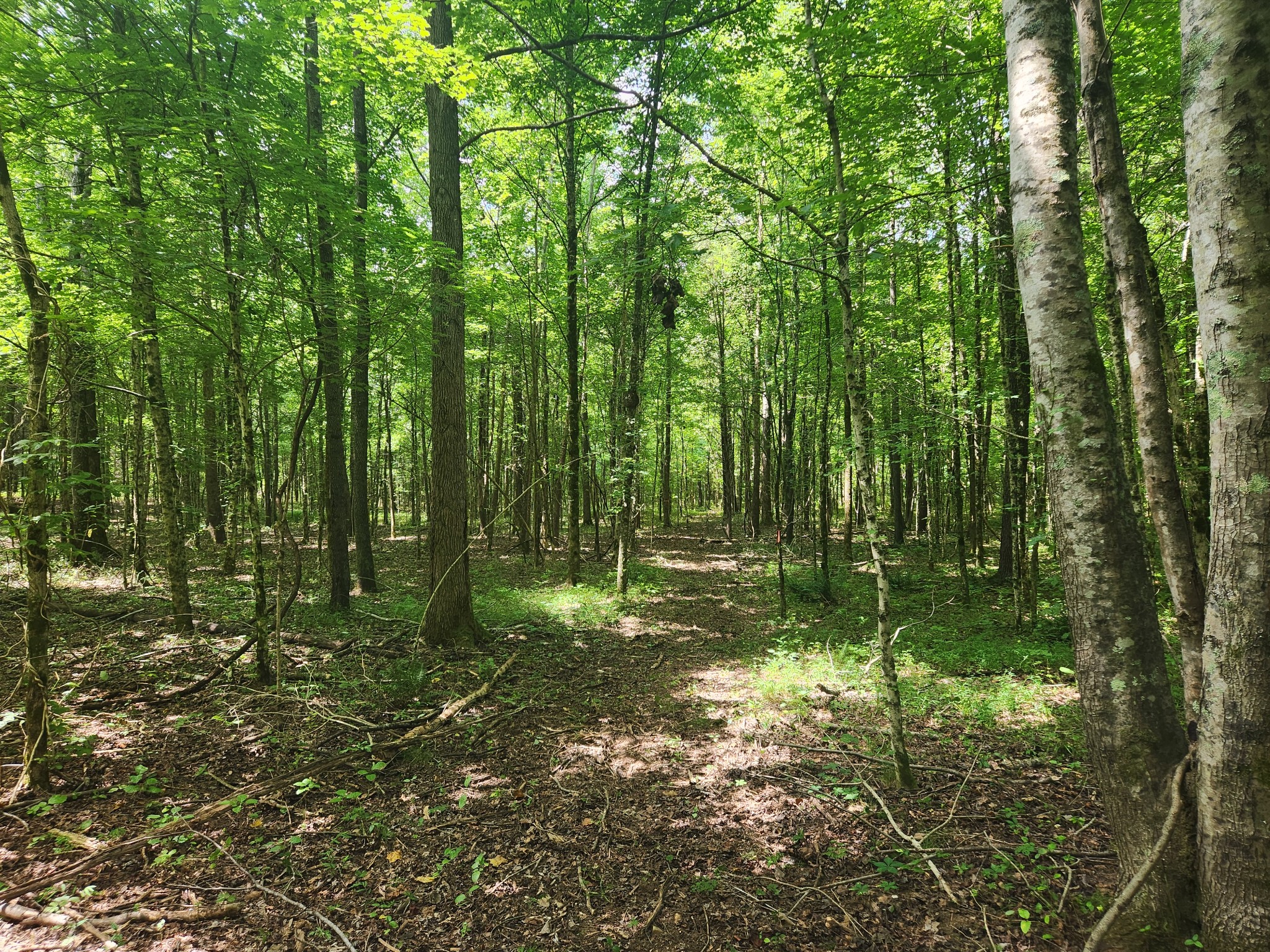 433 Sid Summers Road Stewart, TN 37175 - Photo 64 of 66