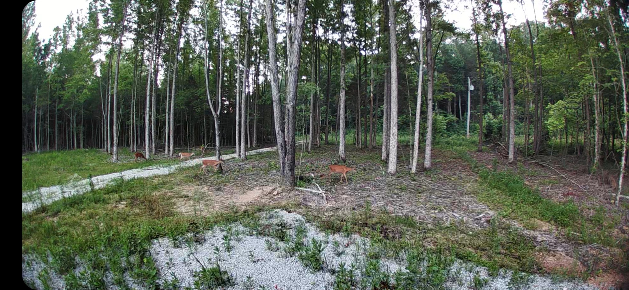 433 Sid Summers Road Stewart, TN 37175 - Photo 65 of 66