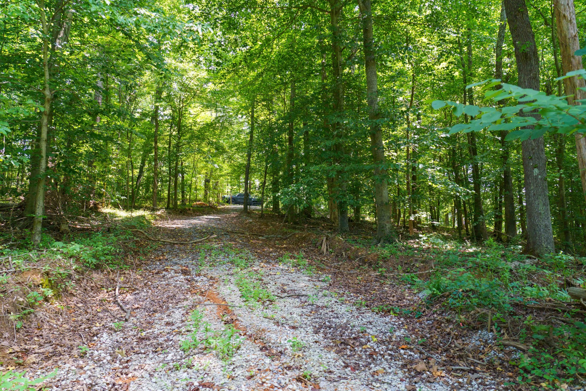 433 Sid Summers Road Stewart, TN 37175 - Photo 7 of 66