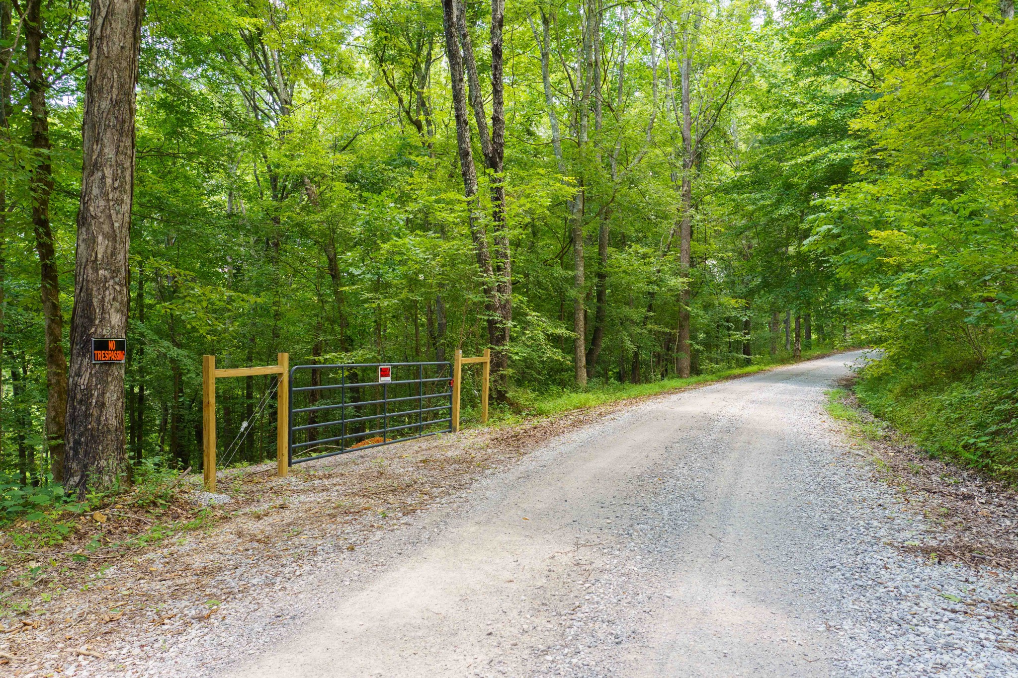 433 Sid Summers Road Stewart, TN 37175 - Photo 9 of 66 a backyard of a house with lots of green space