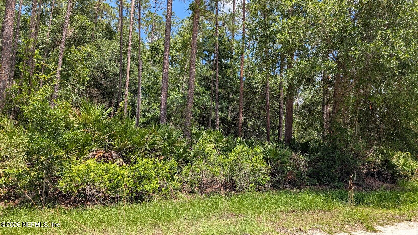 301 Whispering Pines Road Georgetown, FL 32139 - Photo 2 of 12 2