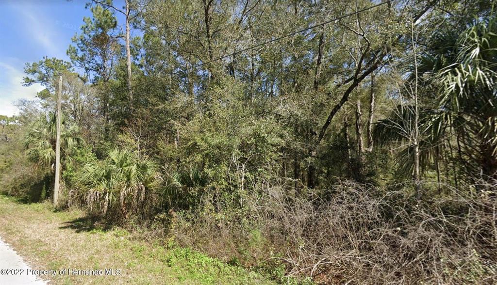 7338 Nunn Road Brooksville, FL 34601 - Photo 1 of 1 Gallery Image 1