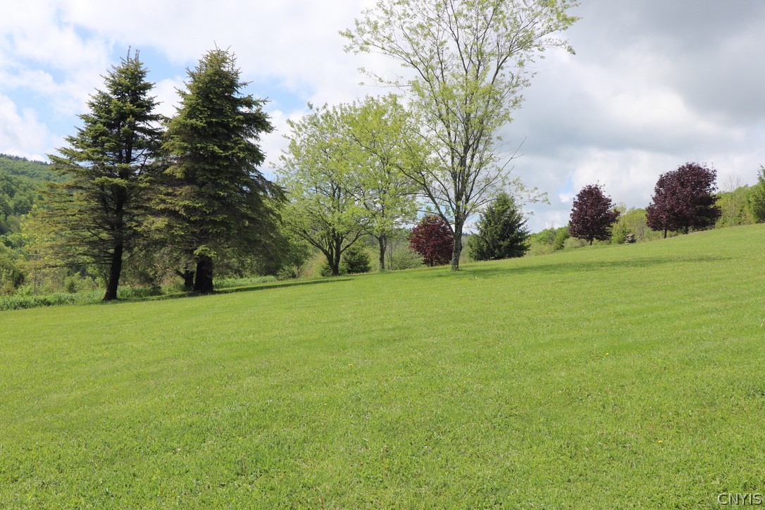 7207 Kettlebail Road Truxton, NY 13159 - Photo 13 of 50