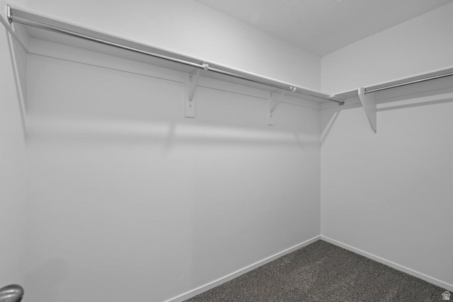 2153 Wolverine Way, Unit 2445 Washington, UT 84780 - Photo 30 of 34