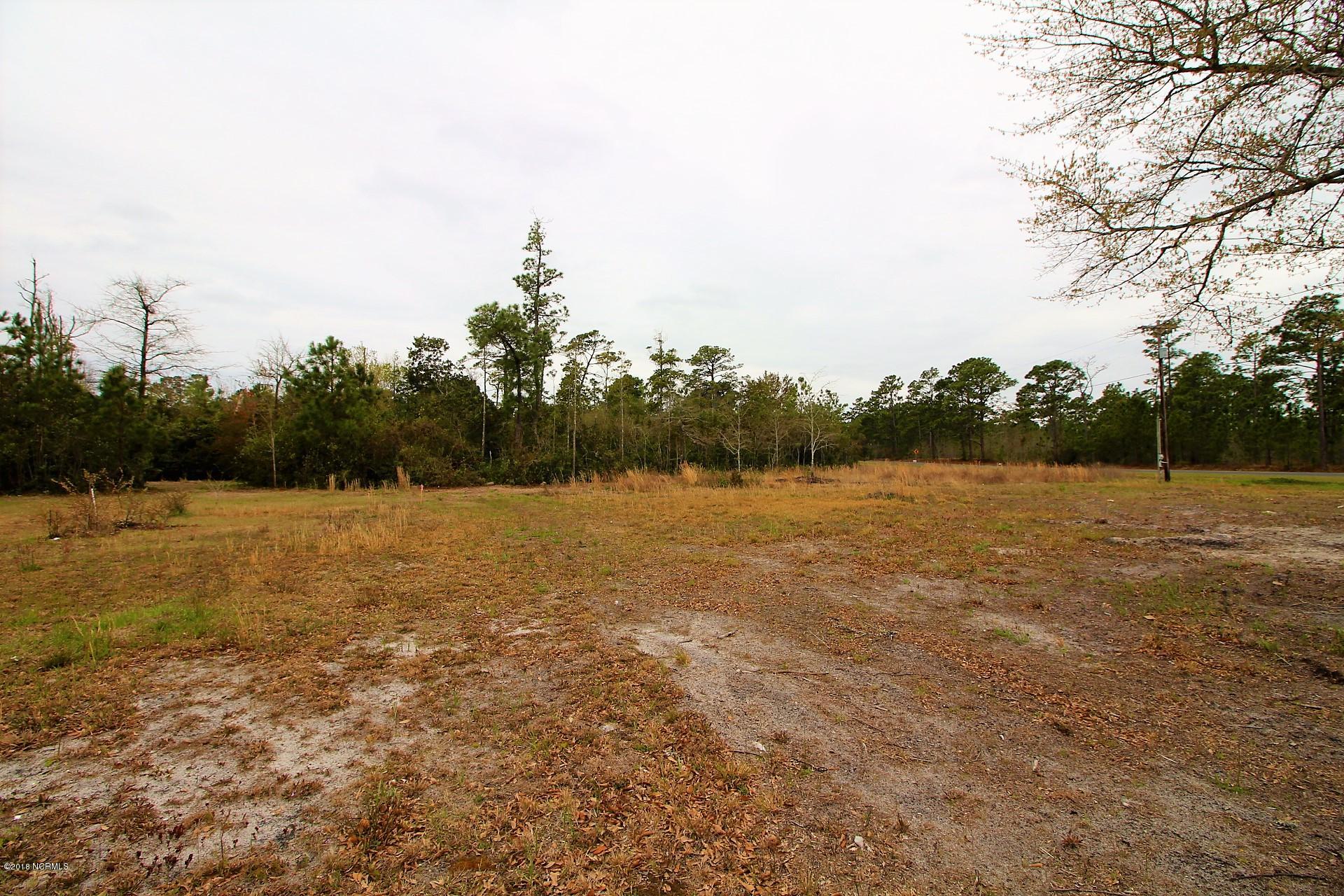 421 George Taylor Road Newport, NC 28570 - Photo 21 of 22 land (2)