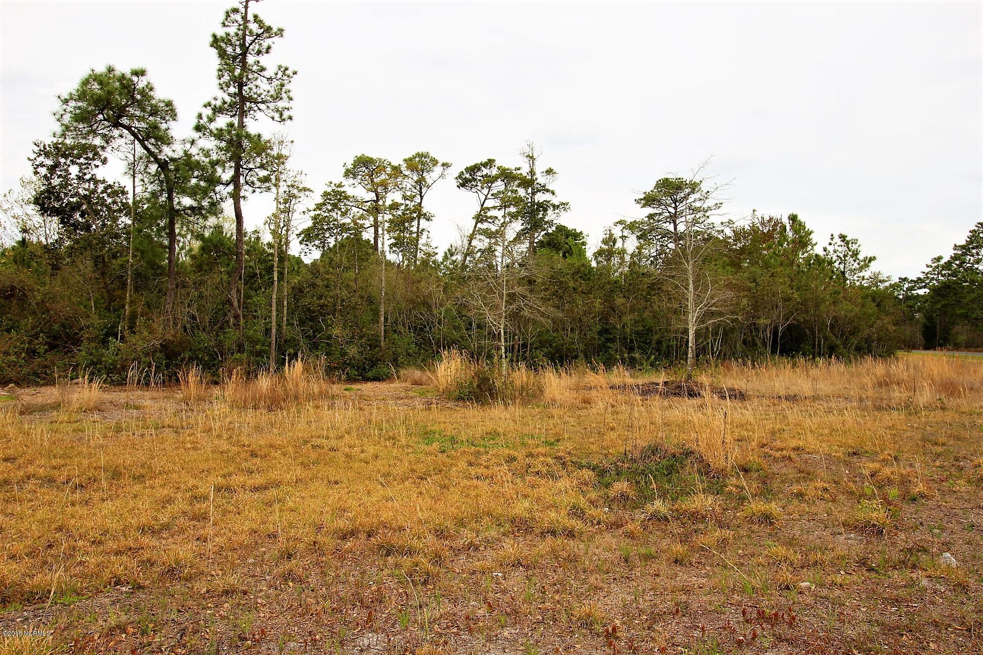 421 George Taylor Road Newport, NC 28570 - Photo 22 of 22 land