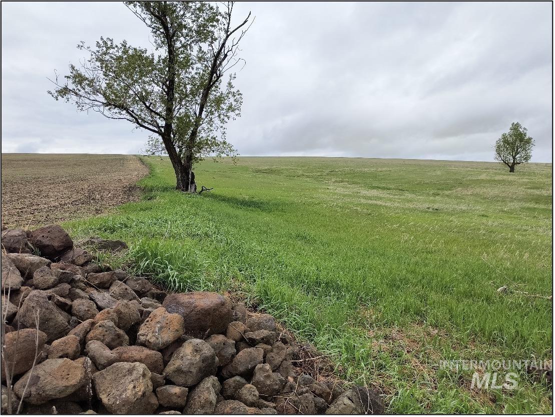 Tbd Tbd Meade Road Nezperce, ID 83543 - Photo 3 of 10