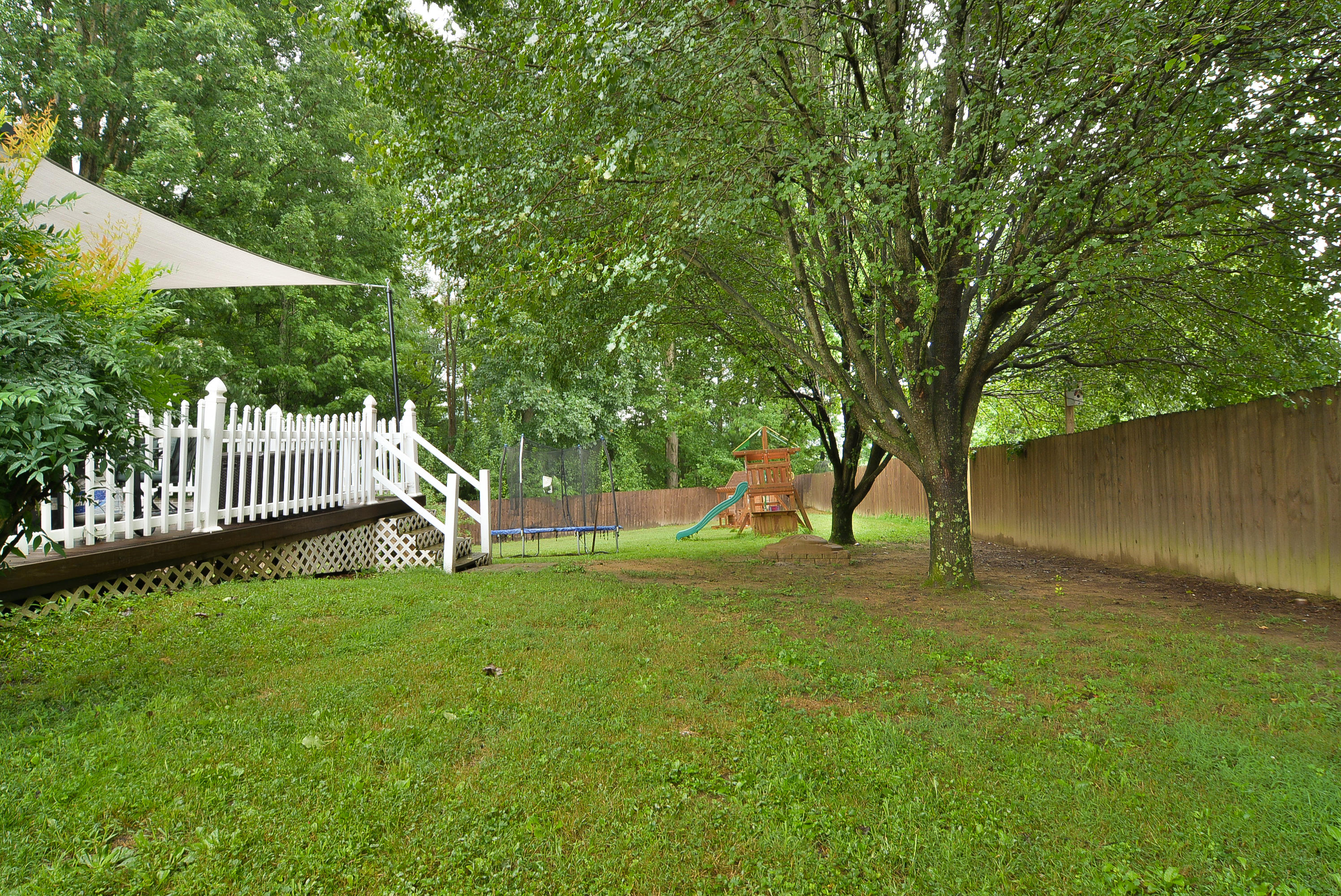 333 Phillips Road Jonesborough, TN 37659 - Photo 43 of 49 Back Left 2