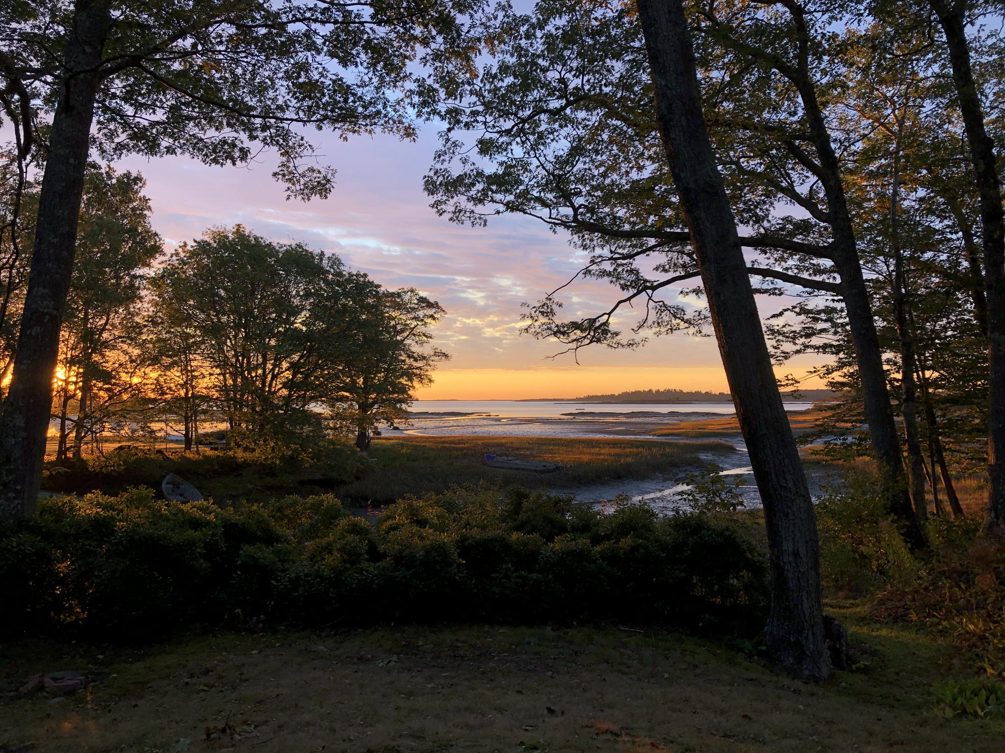 174 John Small Road Chebeague Island, ME 04017 - Photo 68 of 72 Fall sunrise