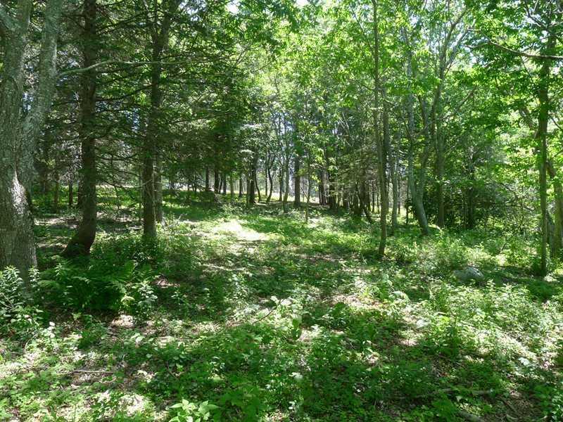 68 Soaring Eagle Point Road Northport, ME 04849 - Photo 5 of 5 Land/Lot.