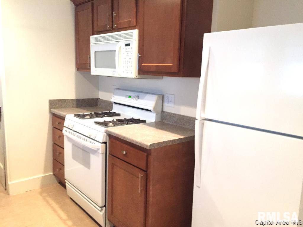 2335 South 10th Street Springfield, IL 62703 - Photo 17 of 26