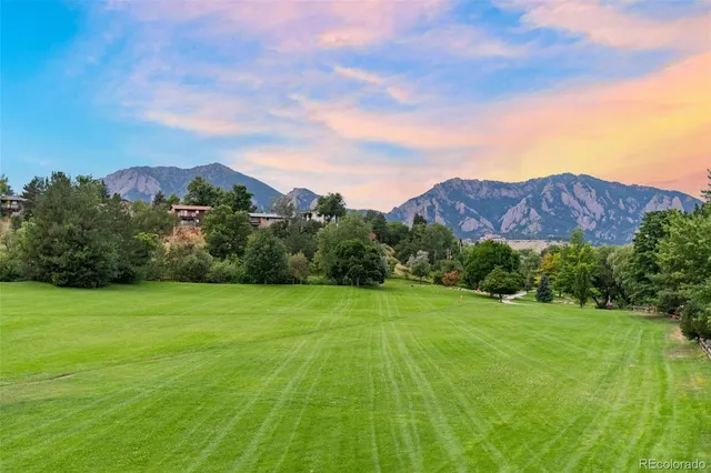 a view of a lush green space