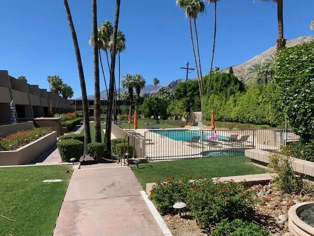 a view of a garden with a slide