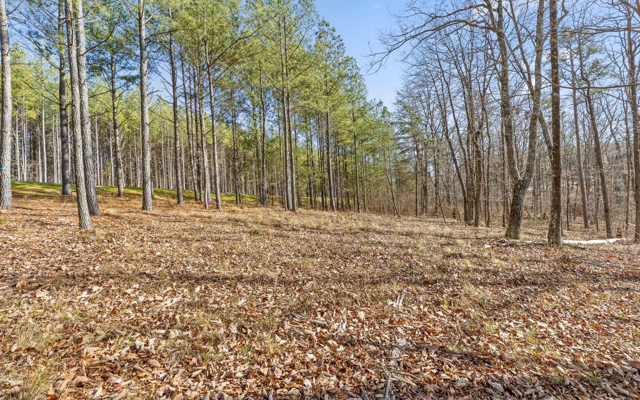 1179 Split Rail Way Guild, TN 37340 - Photo 12 of 26