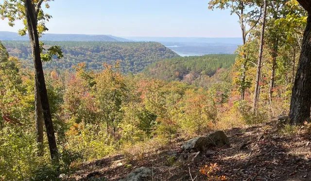 $899,000 | 1179 Split Rail Way, Guild, TN 37340