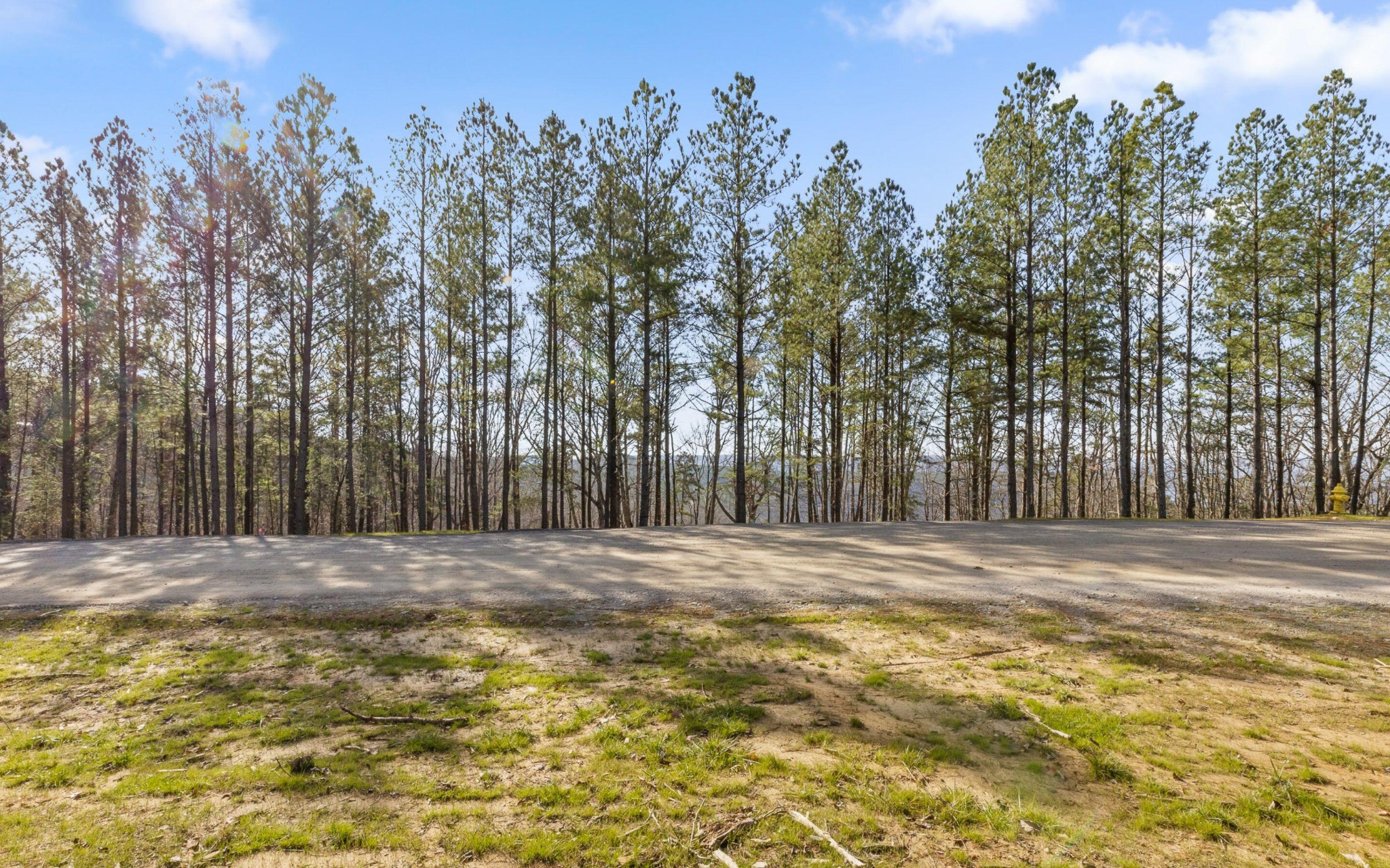 1179 Split Rail Way Guild, TN 37340 - Photo 8 of 26