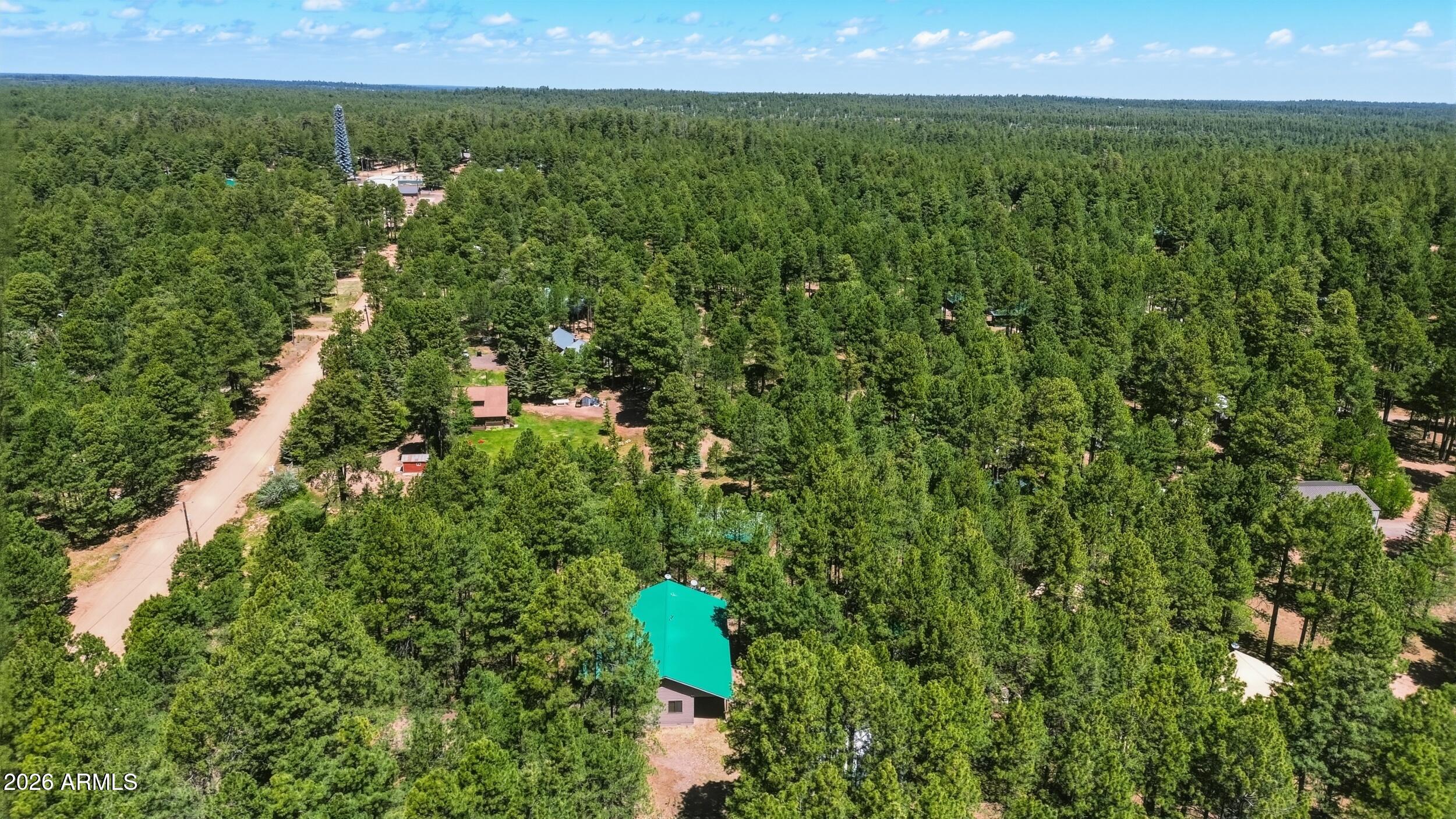 1233 Merzville Road Forest Lakes, AZ 85931 - Photo 40 of 42 Aerial E
