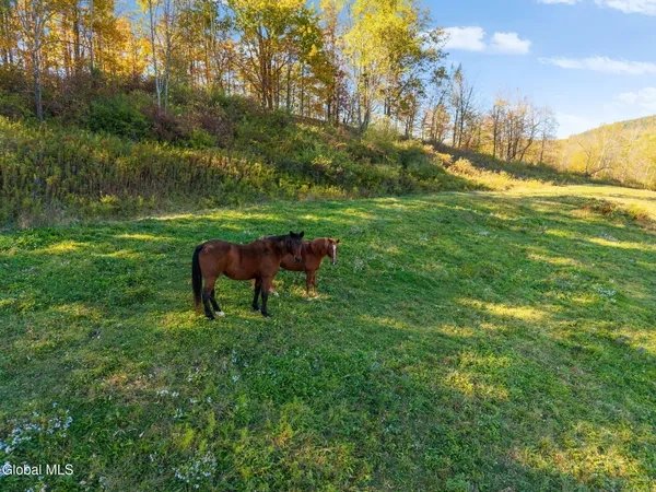 $149,900 | Undisclosed Address, Cobleskill, NY 12043