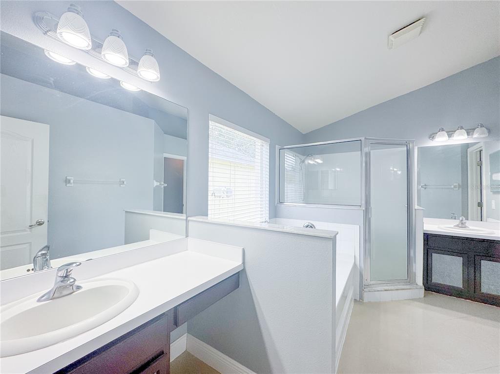 4150 Branchside Lane Wesley Chapel, FL 33543 - Photo 16 of 32 a bathroom with a sink a large mirror and a shower