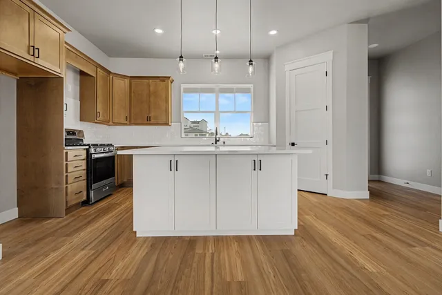 a kitchen with stainless steel appliances granite countertop a stove a sink and a refrigerator