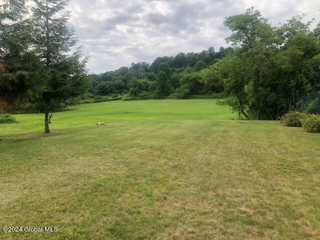 527 North Perry Street Johnstown, NY 12095 - Photo 35 of 46 IMG_0964