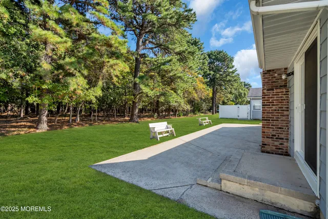 a view of a park with large trees