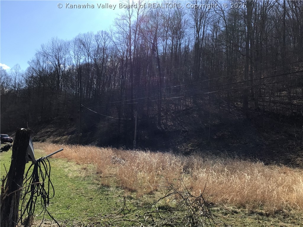0 Bulger Road Alkol, WV 25501 - Photo 15 of 50 Gallery Image 15
