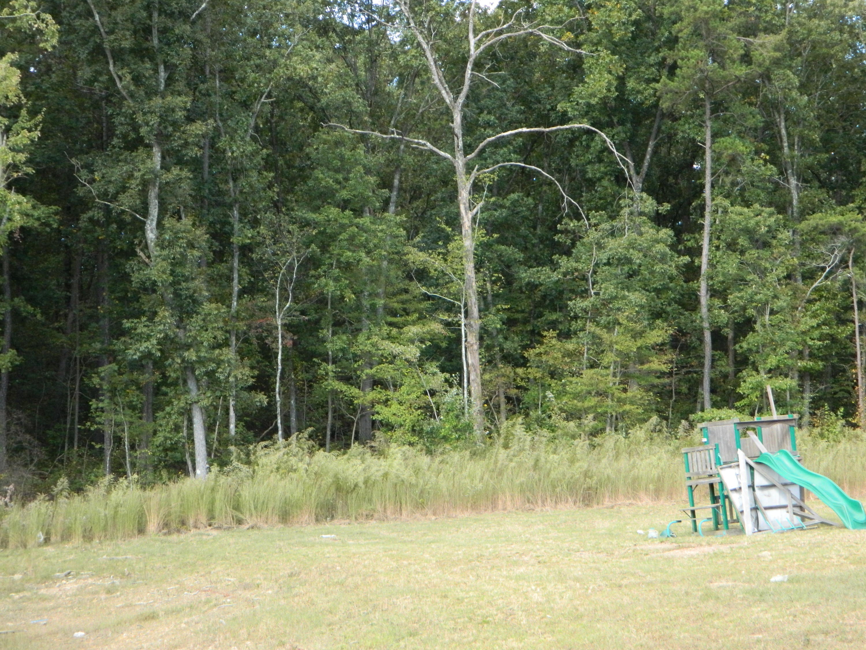252 Fuller Road Trenton, GA 30752 - Photo 38 of 40 DSCN9048