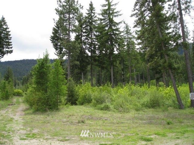 W7 Off Chandler Road Cle Elum, WA 98922 - Photo 2 of 4 Gallery Image 2