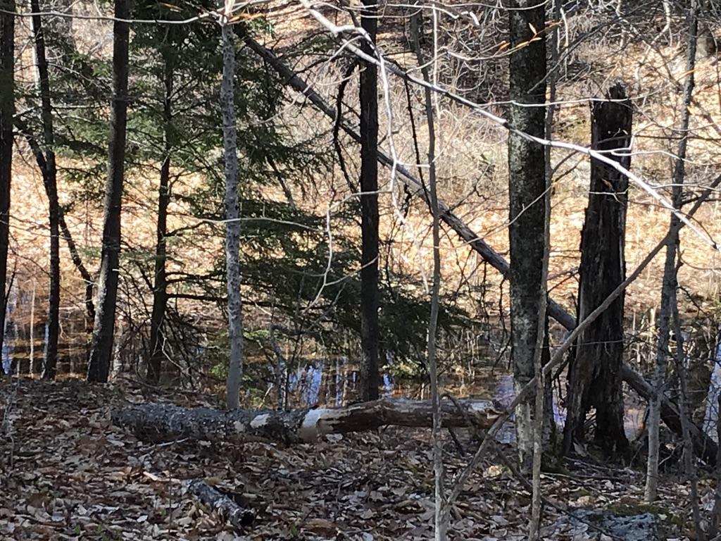 128 Starbird Corner Road Bowdoin, ME 04287 - Photo 27 of 30 UNADJUSTEDNONRAW_thumb_426e
