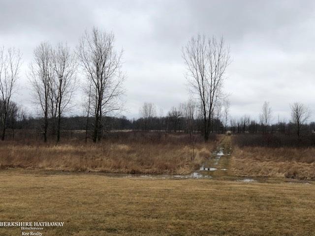 15580 Schultz Road Allenton, MI 48002 - Photo 49 of 49 Back Yard
