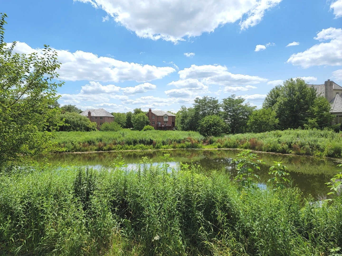 7242 Greywall Court Long Grove, IL 60060 - Photo 46 of 52