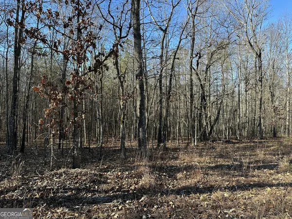 a view of a yard with trees