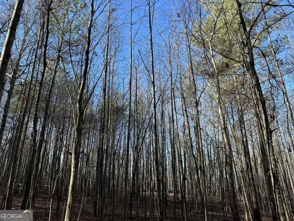 a view of outdoor space and trees