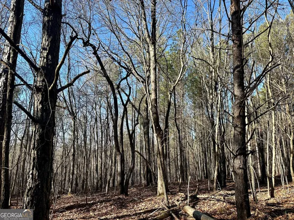 a view of outdoor space with trees
