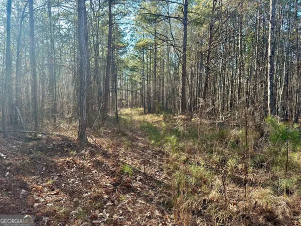 a view of outdoor space with trees