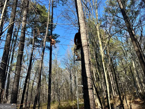 a view of a backyard of a house
