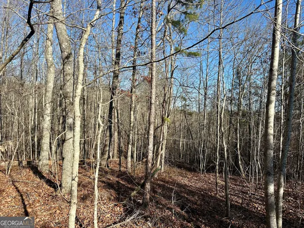 a view of outdoor space and tree