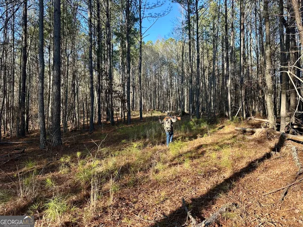 $422,472 | 0 Budapest Spur, Tallapoosa, GA 30176